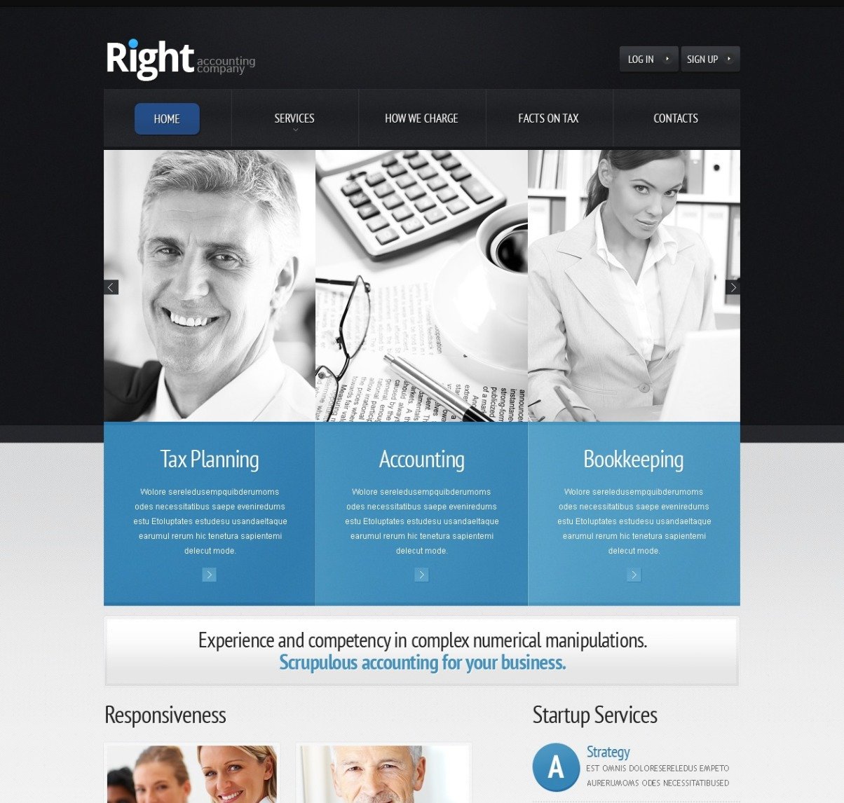 Accounting Website Website Template 36646
