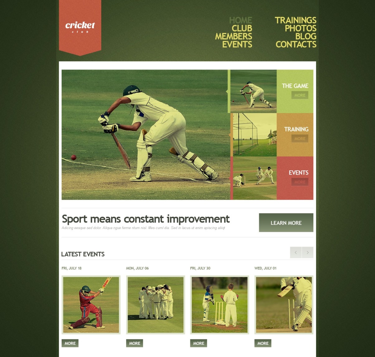 cricket-website-template-39976