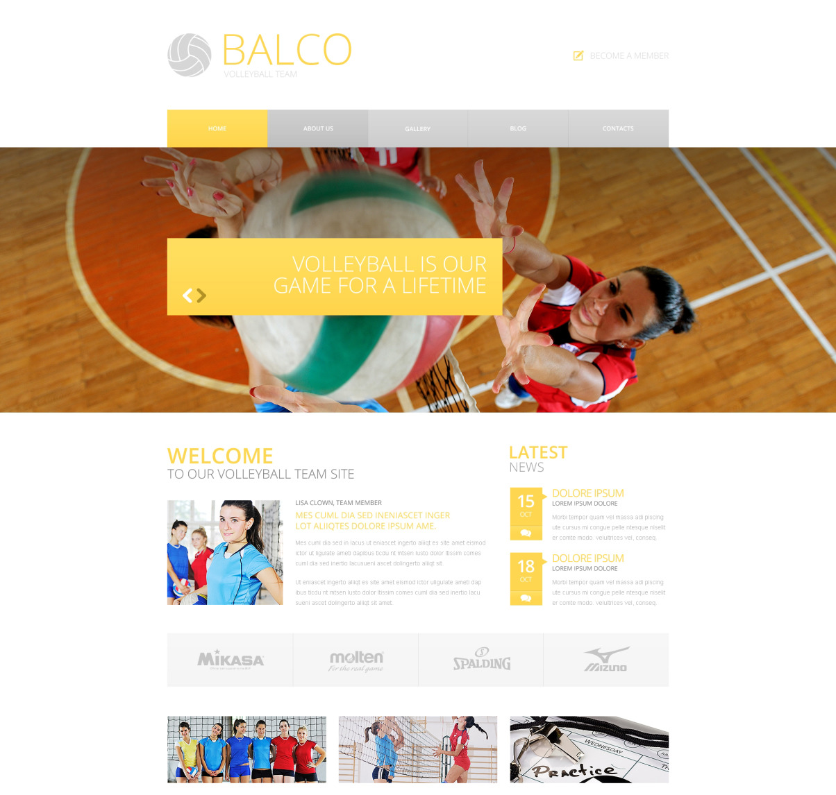 michio volleyball website