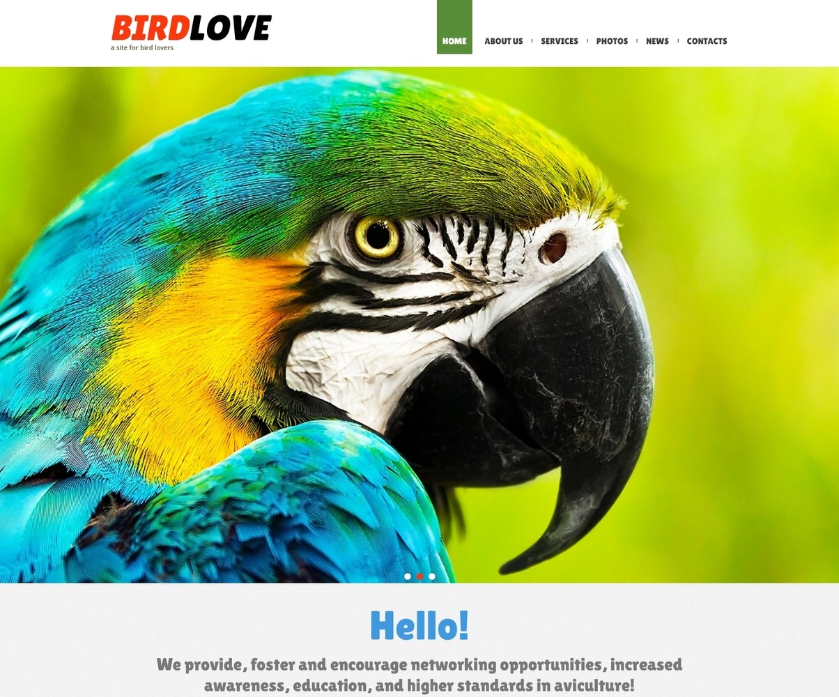 Birds Responsive Joomla Template #47950