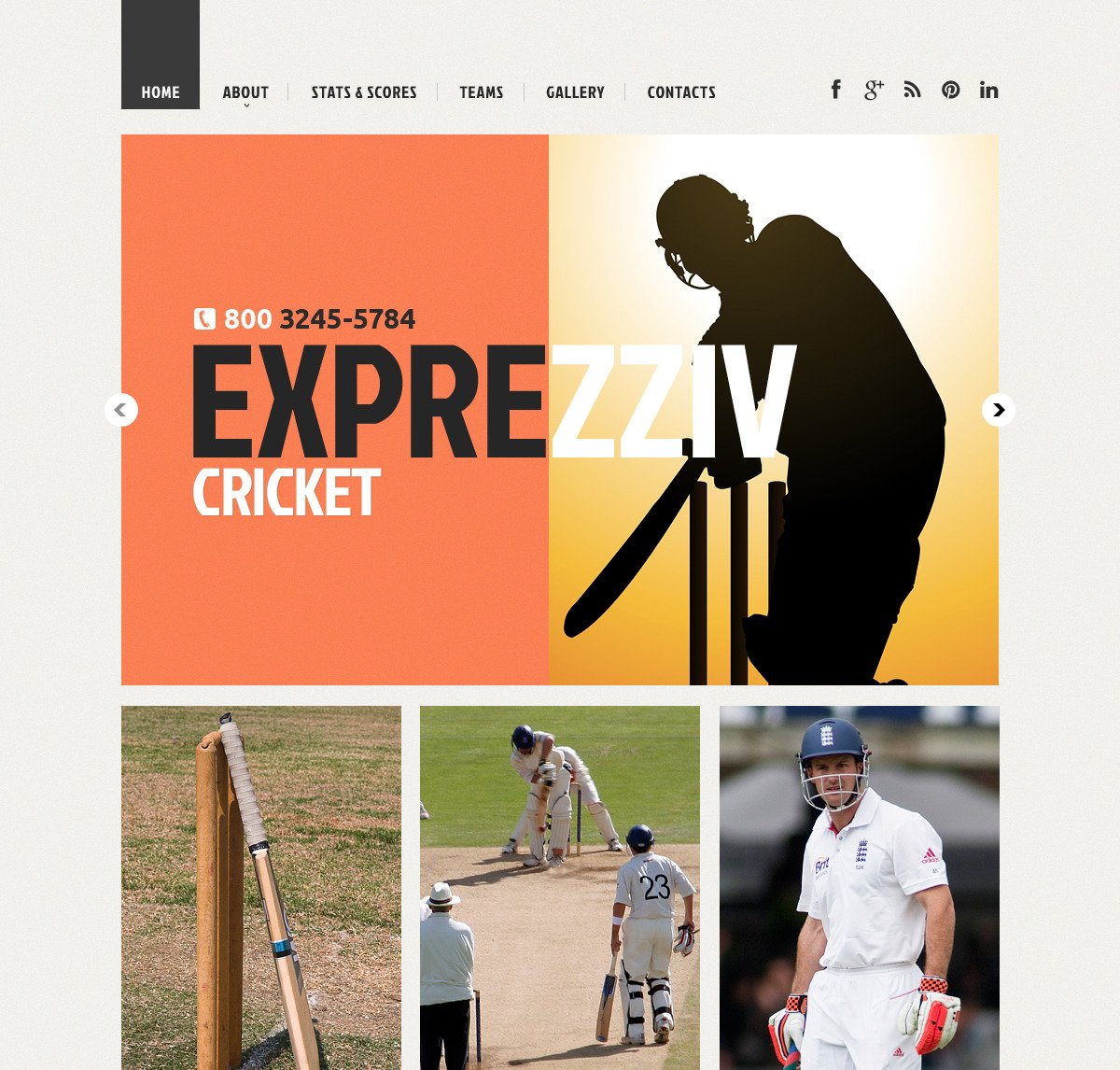 Cricket Responsive Website Template #48223