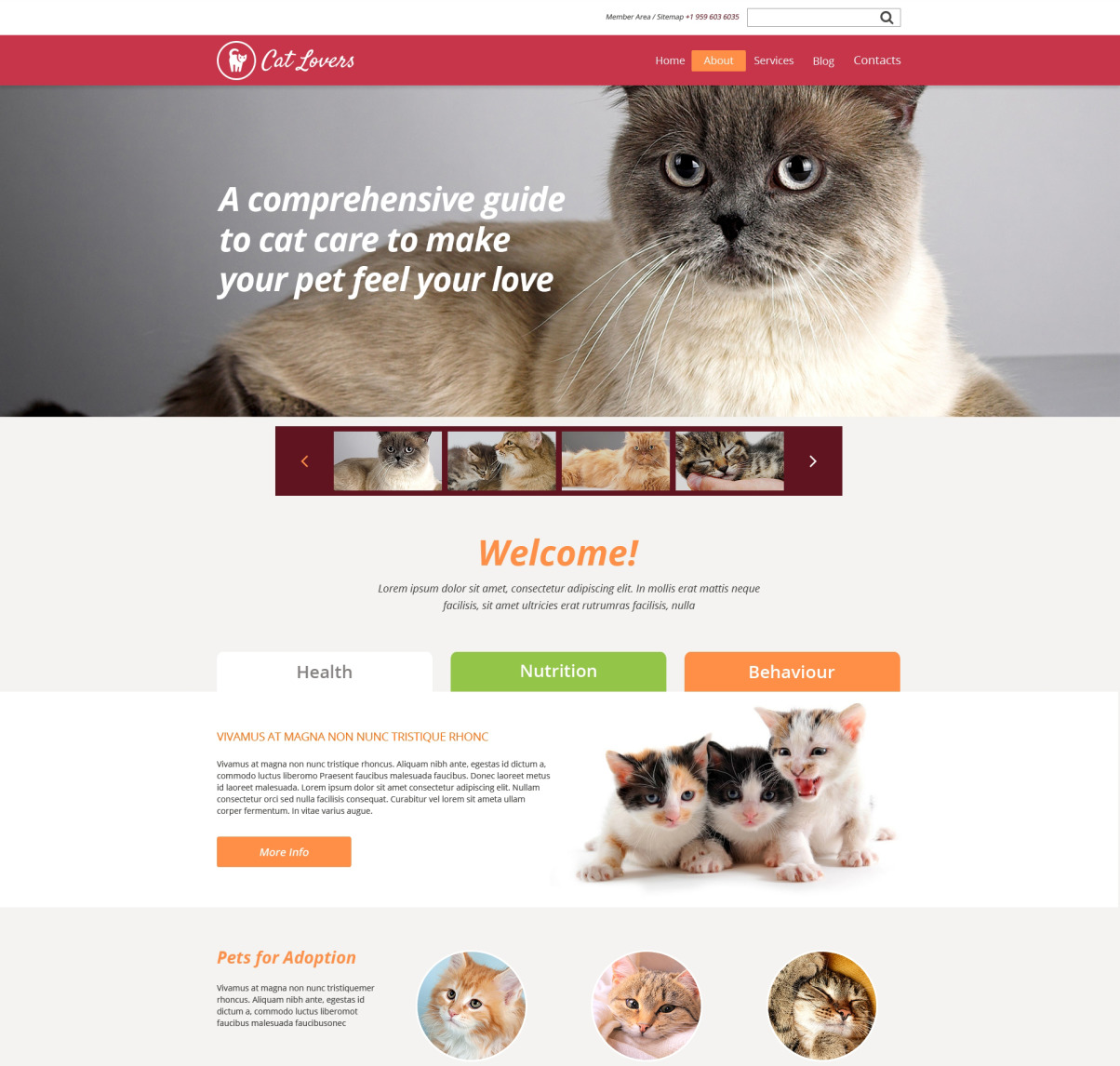 Cat Responsive Website Template #49149