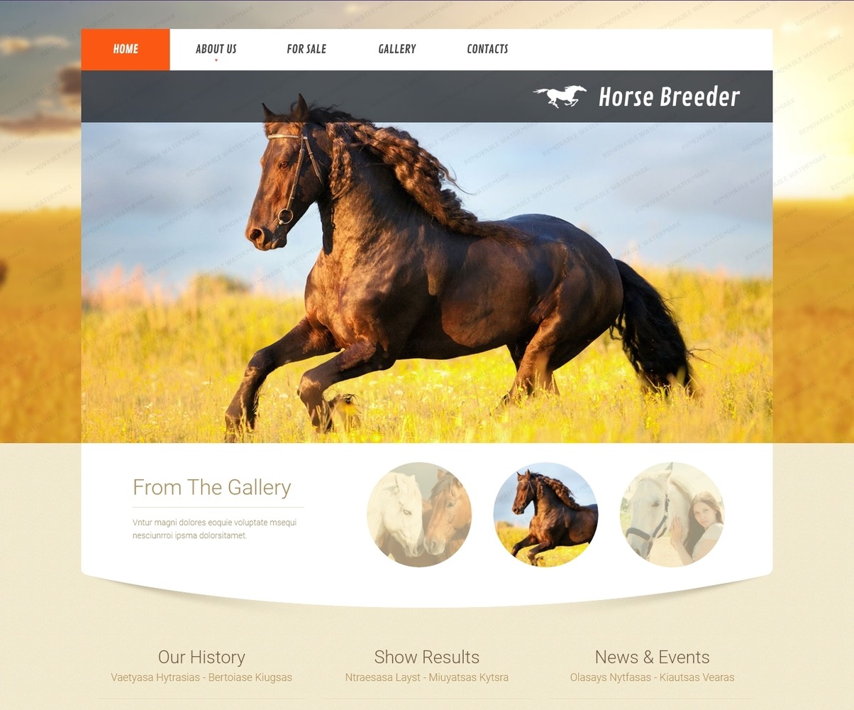 хорс сайт. древнеславянский бог хорс иллюстрация. языческий бог хорс. мифы древних славян хорс. хорс сайт.