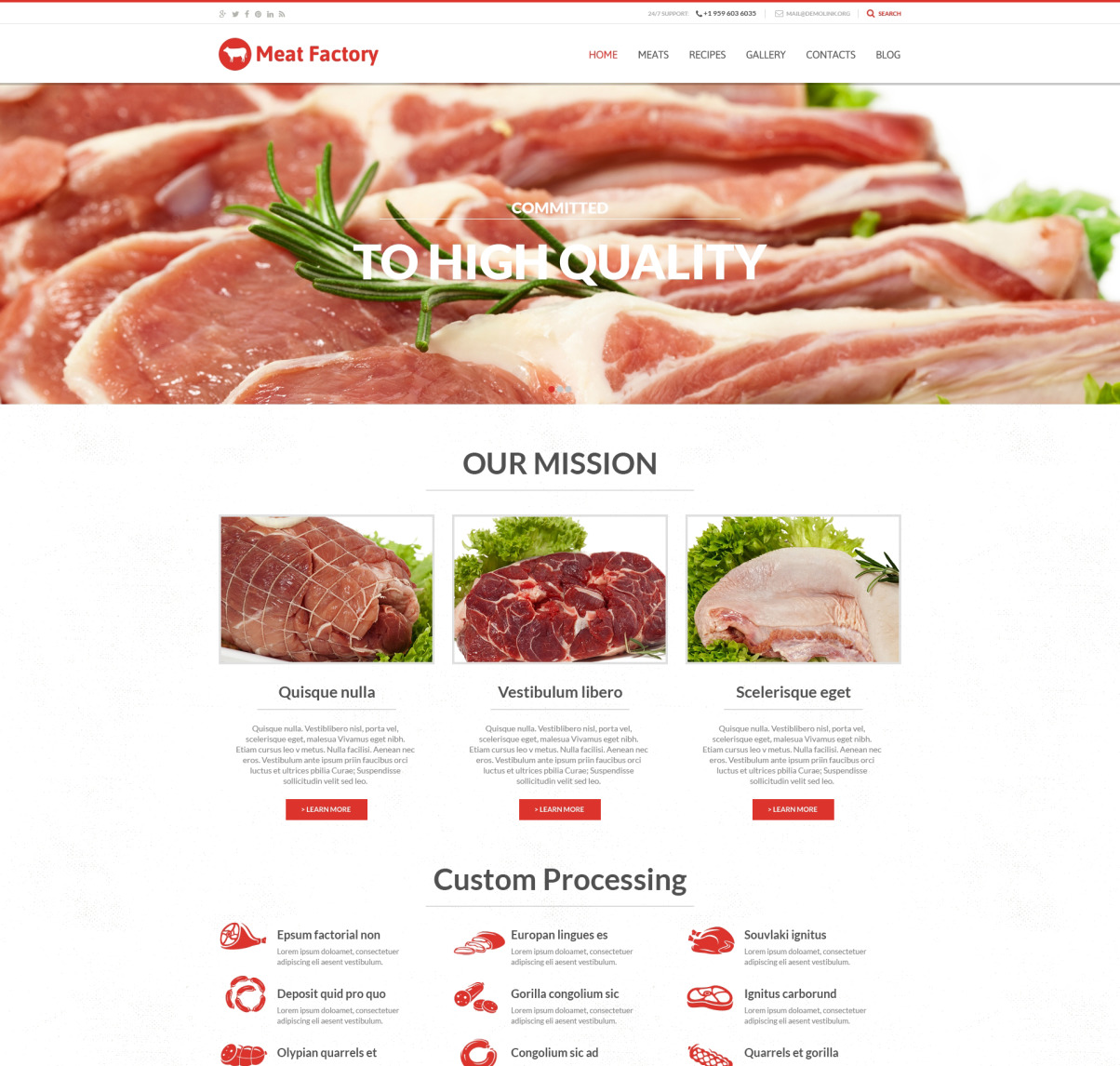 Gesundheitliche Vorteile von Fleisch WordPress Theme