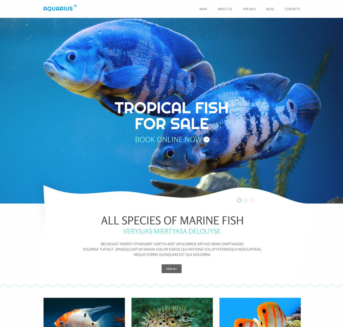 Fish Responsive Website Template 51730