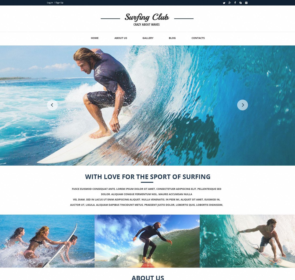 Surfing Responsive site Template 51760 TemplateMonster