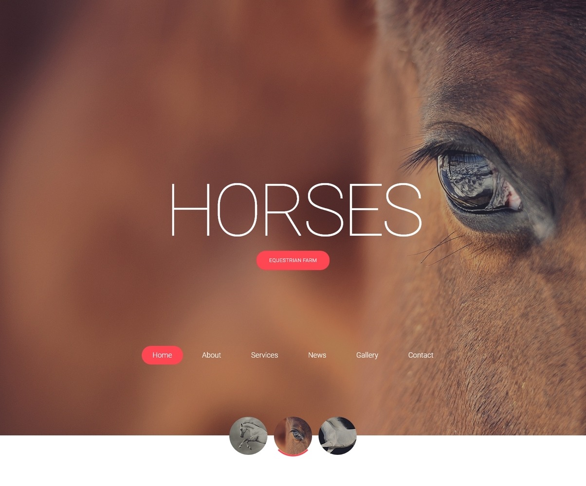 Horses Responsive HTML Template