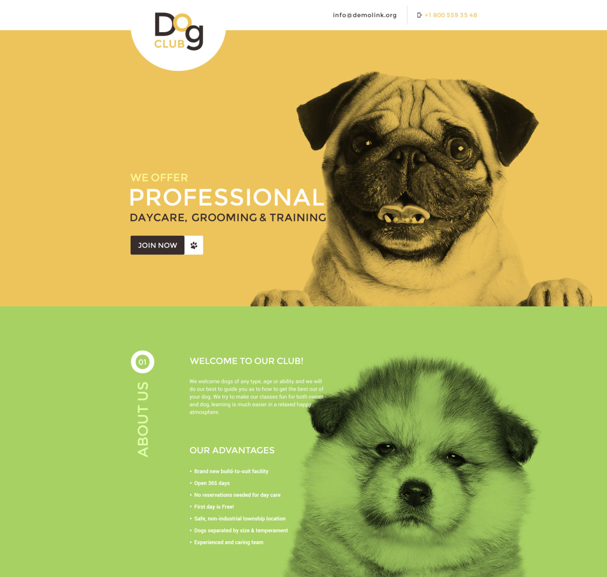 Dog Responsive Landing Page Template 58095