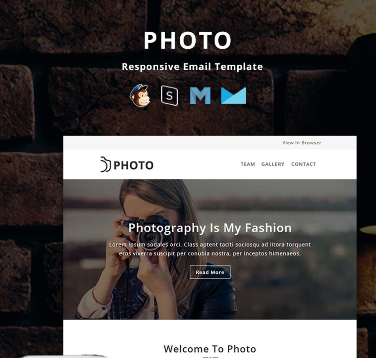 Download Photo – Responsive Email Newsletter Template #67228 | Premium themes & Plugins