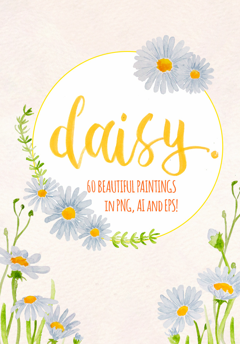 60 Watercolor Daisy Painted Graphics Illustration #67877