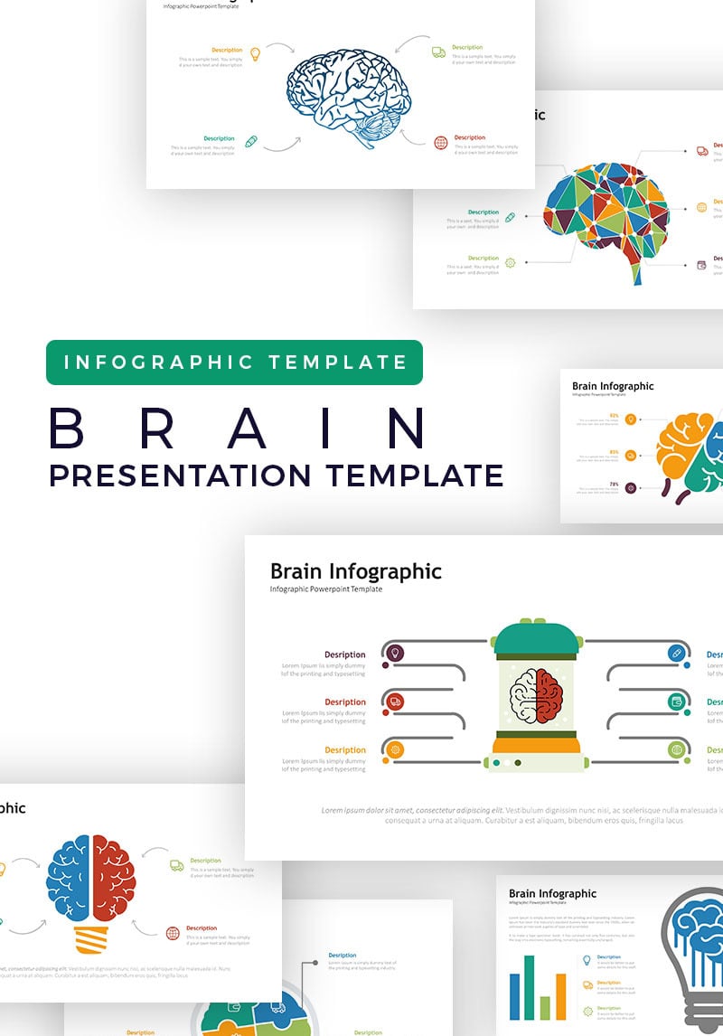 Brain Presentation - Infographic PowerPoint Template #73627