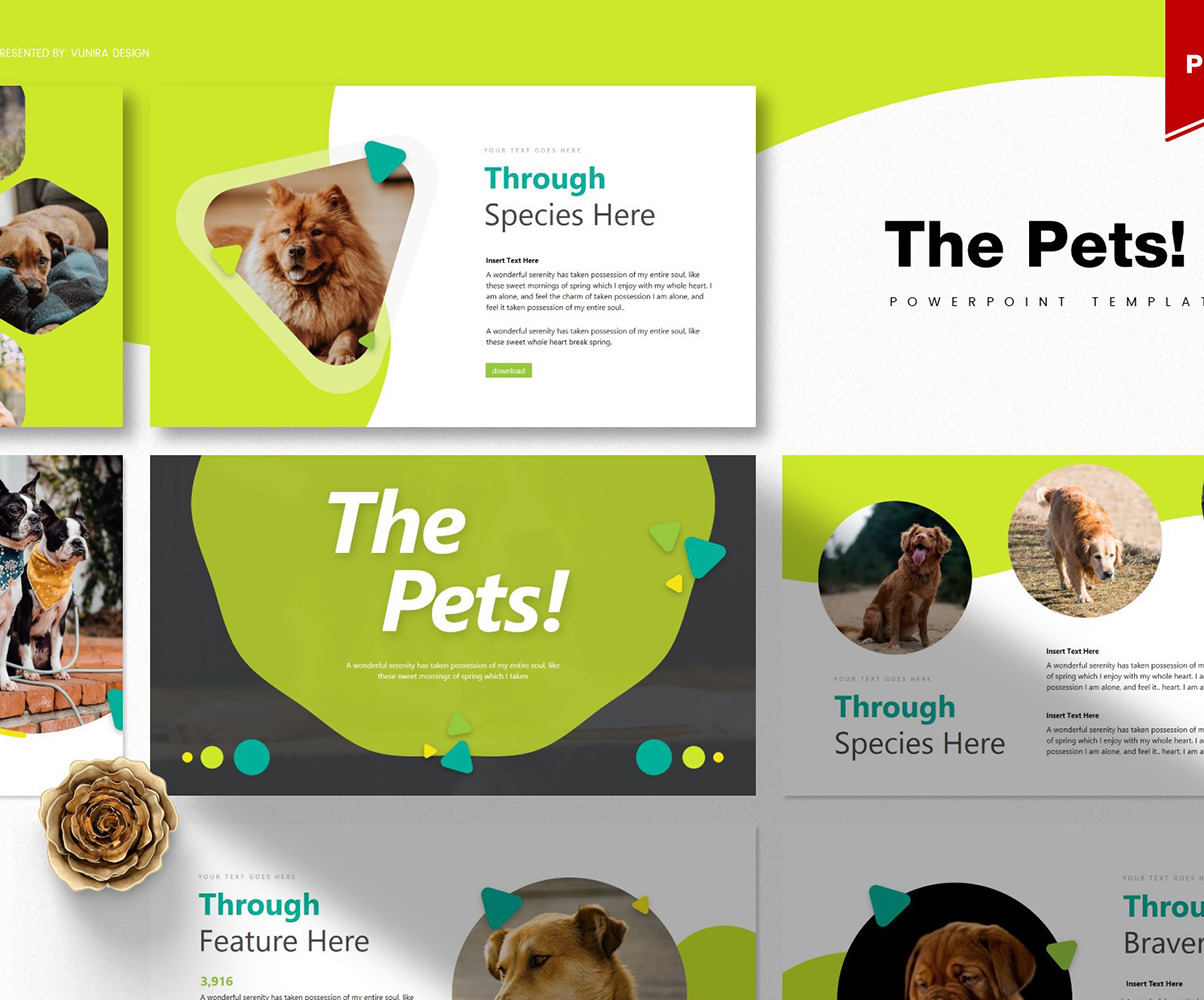 Collage Of Pets Powerpoint Template Collage Of Pets P - vrogue.co