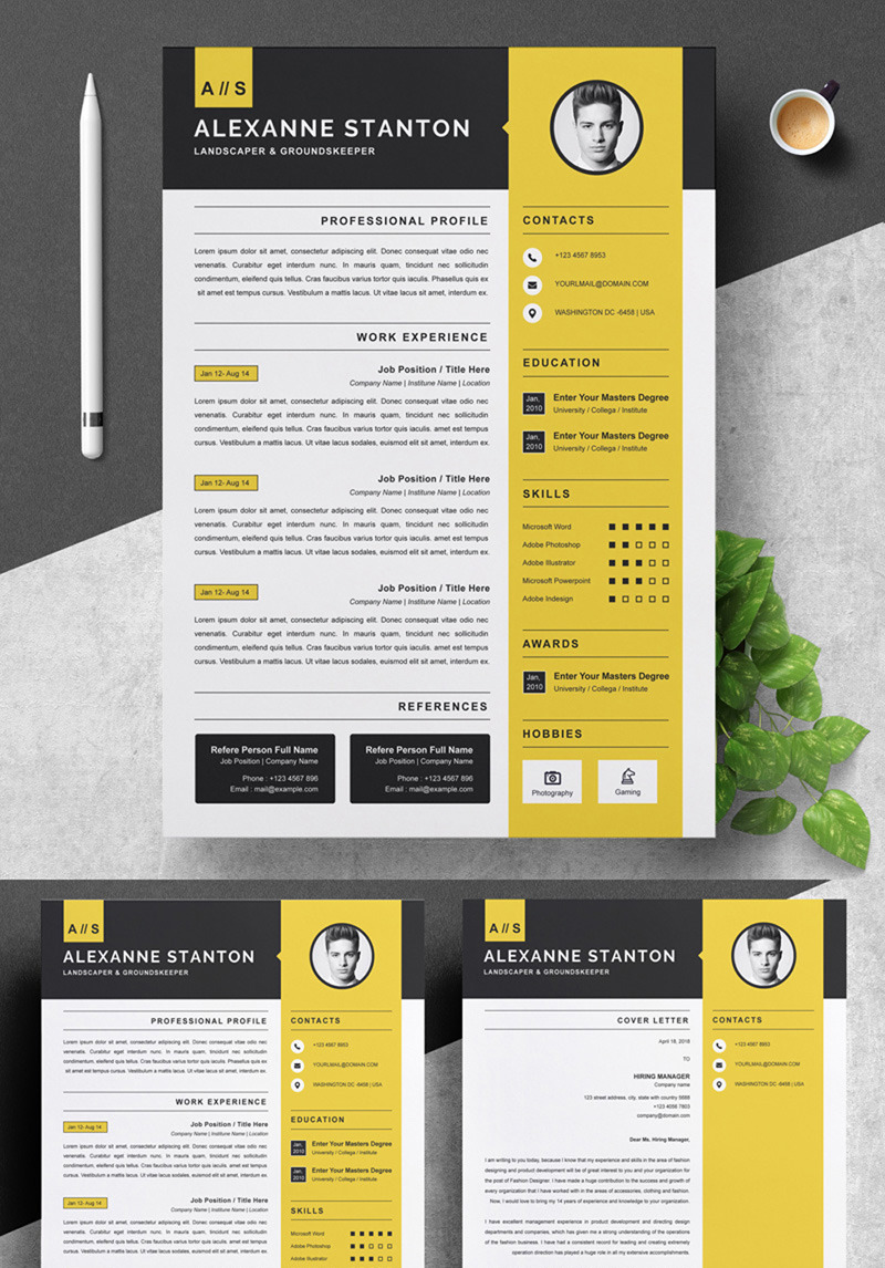 Alexanne Resume Template #88984