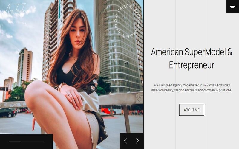 "Model Portfolio Multipurpose HTML By WINK" modèle web adaptatif #123374