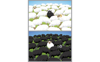 Black Sheep - Illustration