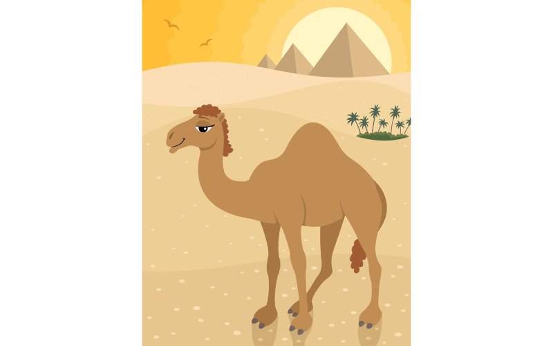 Camel - Illustration