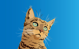 Realistic Cat Face - Illustration
