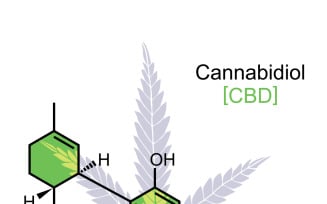 CBD Molecule on White - Illustration