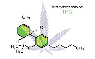 THC Molecule on White - Illustration