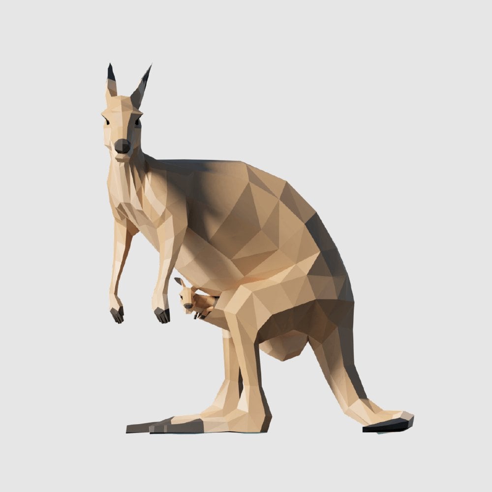 Kangaroo 3D Model