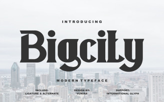 Bigcity | Modern Typeface Font