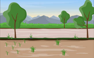 Field Paddy Plantation - Illustration
