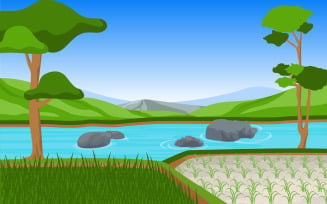 Paddy Plantation Lanscape - Illustration