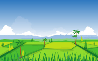 Rice Field Paddy - Illustration