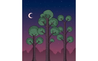 Forest at Night - Illustration