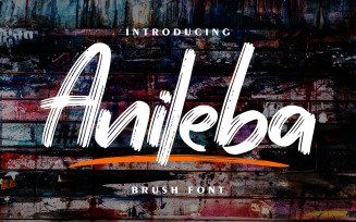 Anileba | Brush Font