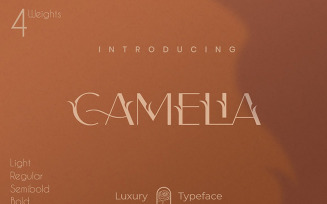 Camelia Sans - Unique Typeface Font