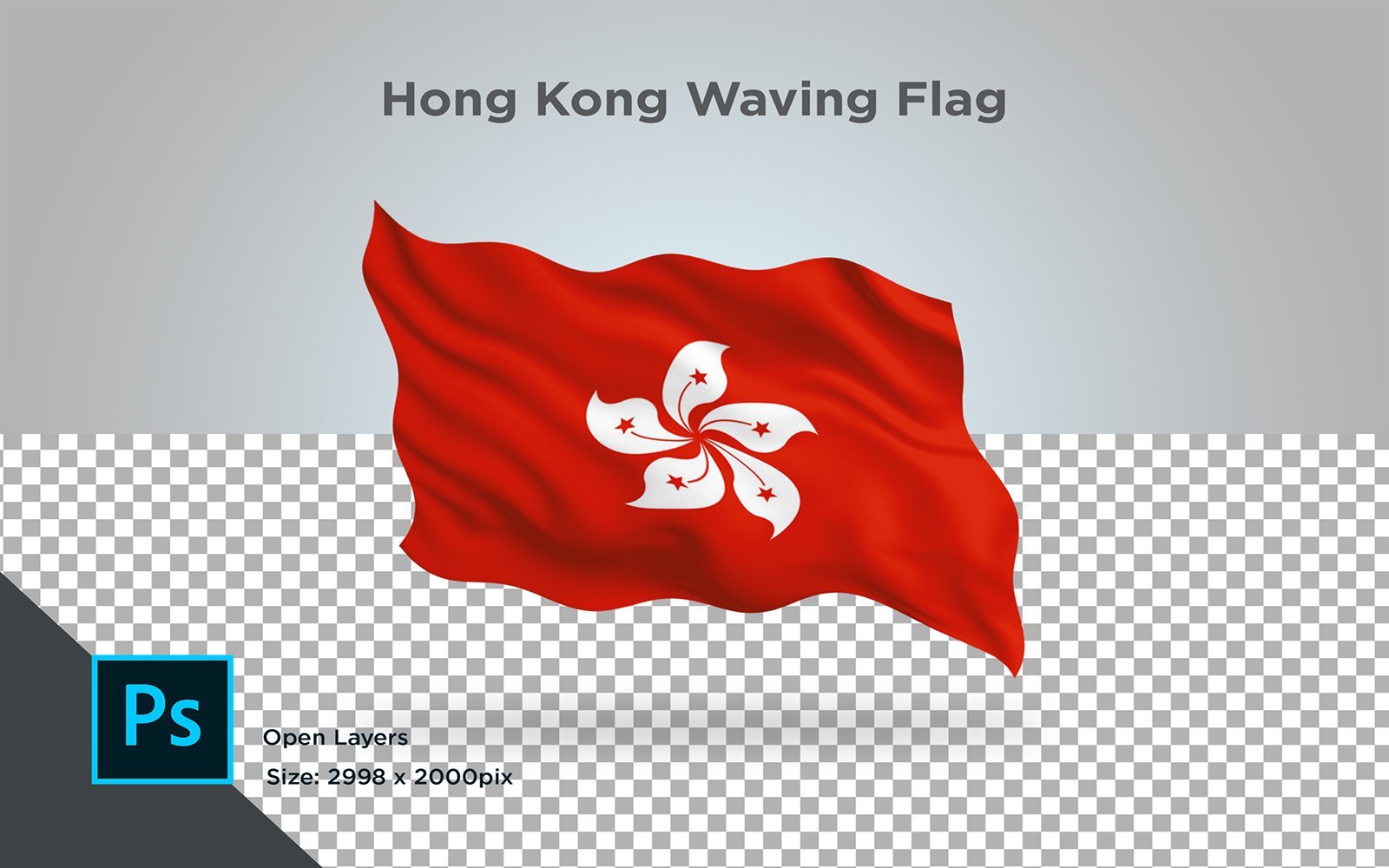 Kit Graphique #147568 Hong Kong Divers Modles Web - Logo template Preview