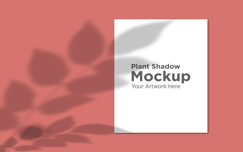 Empty Frame Mockup with Plant Shadow Background product mockup Product Mockup