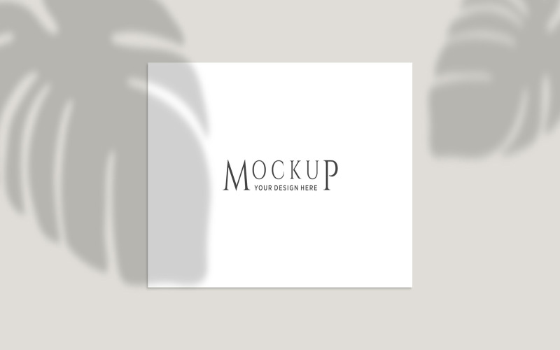 Monstera Transparent leave Shadow Frame Mockup Background product mockup Product Mockup