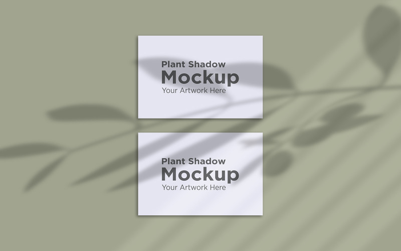 Plant Shadow with Horizontal two frame Template product mockup Product Mockup