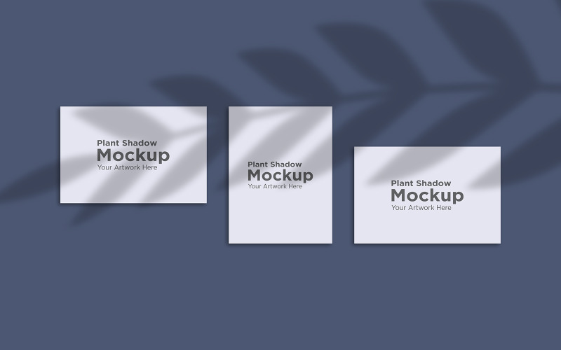 Plant Shadow with Three Frame Mockup Background product mockup Product Mockup