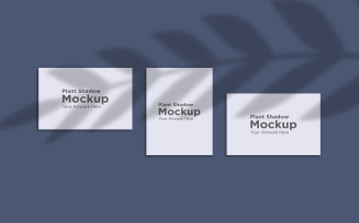 Plant Shadow with Three Frame Mockup Background product mockup