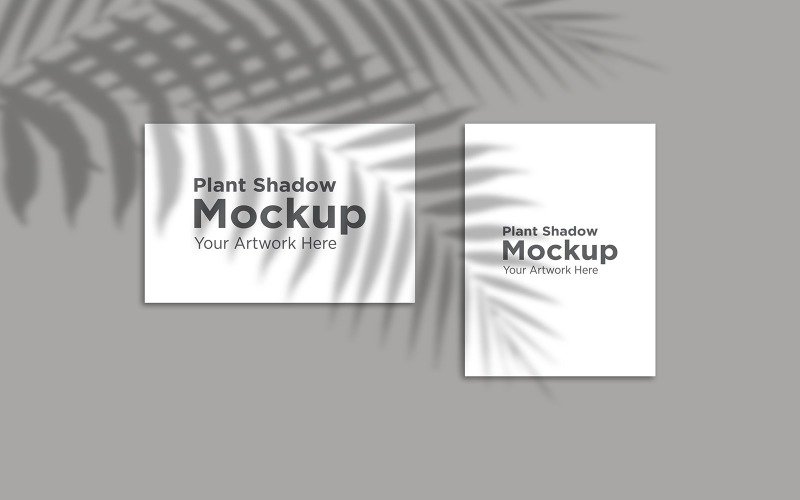 Realistic Palm Leaf shadow On Two Frame Mockup Background product mockup Product Mockup
