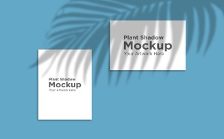 Realistic Palm Tree Leaf shadow with 2 Frame Mockup Background product mockup