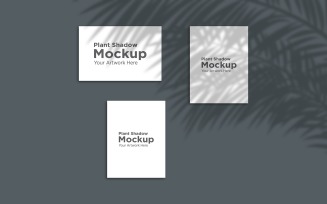 Three Empty Frame Mockup with Palm leaves Shadow Background product mockup