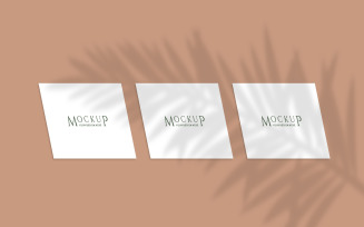 Three frames with plant shadow background product mockup