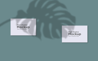 Two Empty Frame Mockup with Monstera Leaf Shadow Background product mockup