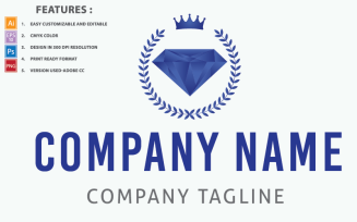 Blue Diamond Vector Design Logo Template