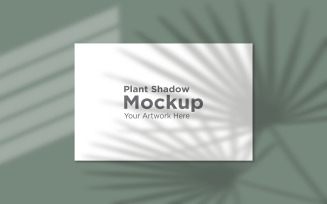 Natural palm Leaf shadow with landscape Empty Frame Mockup Background product mockup