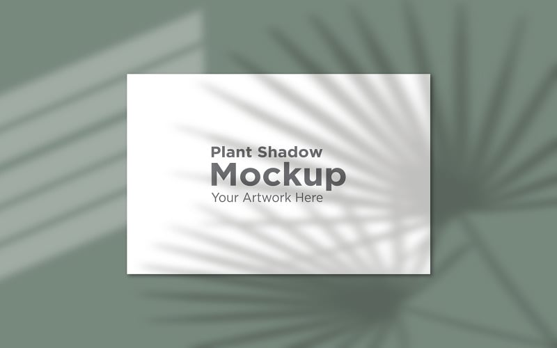 Natural palm Leaf shadow with landscape Empty Frame Mockup Background product mockup Product Mockup