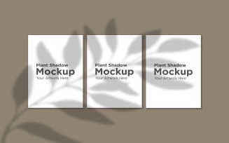 Plant Shadow Mockup On three frame with monstera Leaf Shadow Background product mockup