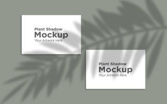 Tropical leaf Shadow with 2 Frame Mockup Background product mockup