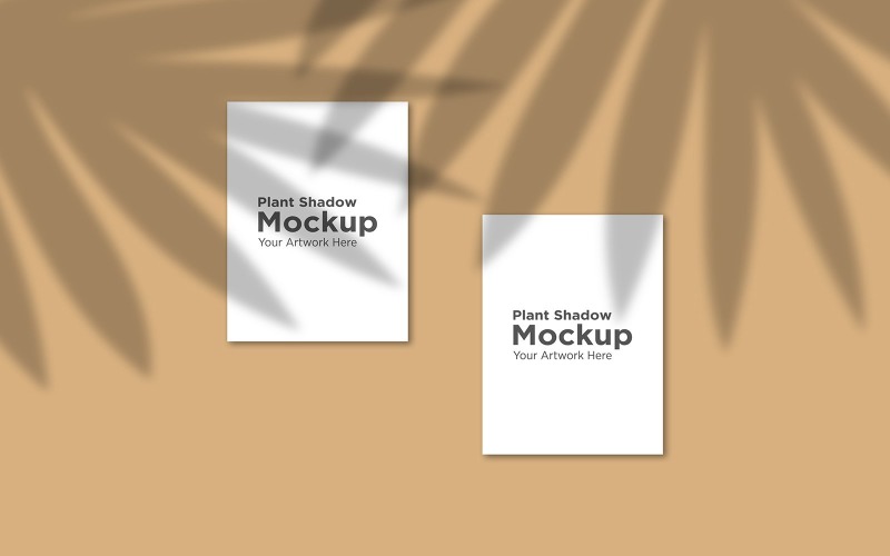 Two empty Frame mockup with tropical leaf Shadow Background product mockup Product Mockup