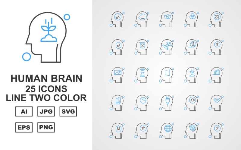 25 Premium Human Brain Line Two Color Icon Set