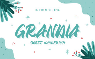 Grandia - Hand brush Font